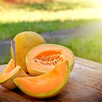 https://connect.bcbsil.com/cfs-file/__key/communityserver-blogs-components-weblogfiles/00-00-00-00-02/8015.melon.jpg