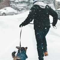 https://connect.bcbsil.com/cfs-file/__key/communityserver-blogs-components-weblogfiles/00-00-00-00-02/WinterWalkingDog.jpg