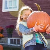 https://connect.bcbsil.com/cfs-file/__key/communityserver-blogs-components-weblogfiles/00-00-00-00-08/pumpkinBrandS36081.jpg