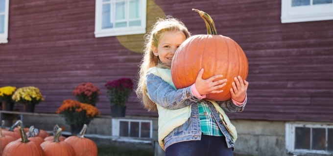 Consejos tenebrosamente buenos para tener un Halloween saludable y seguro