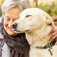 https://connect.bcbsil.com/cfs-file/__key/communityserver-blogs-components-weblogfiles/00-00-00-00-08/senior-citizen-with-dog.jpg