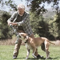 https://connect.bcbsil.com/cfs-file/__key/communityserver-blogs-components-weblogfiles/00-00-00-00-17/BCNAT_2D00_29194_2D00_08_2D00_019Z_2D00_StaywithBlue.jpg