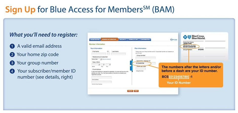 Blue Access for Members